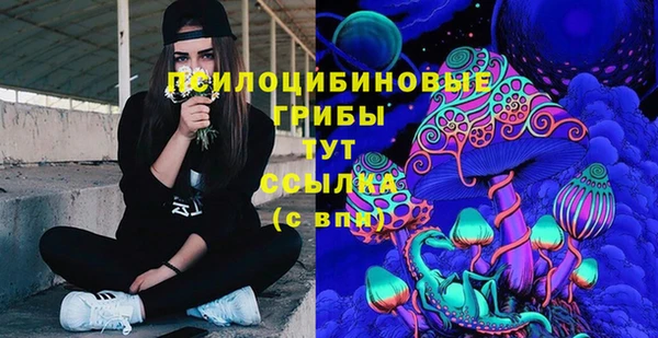 гидропоника Абдулино